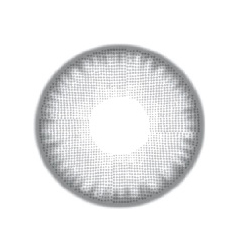 EGO FOREST FEATHER GREY - Image 3