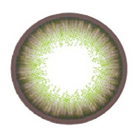 EGO FOREST FOREST GREEN - Image 3